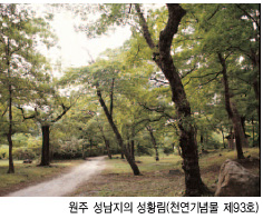 원주 성남지의 성황림(천연기념물 제93호)