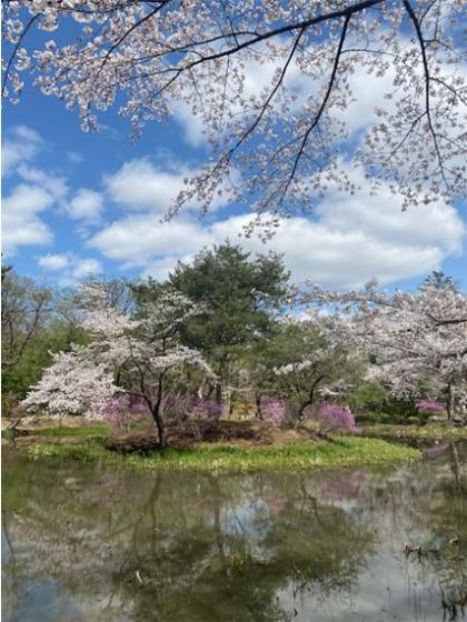 내가 만난 국가유산