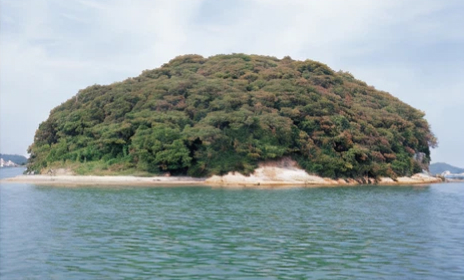 주도의 상록수림 (천연기념물 제28호)