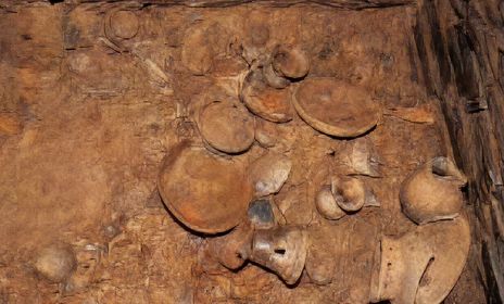 매장유산 노출상태