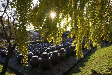 한국의 장 담그기 문화 (논산 명재고택)
